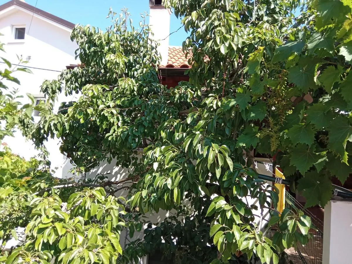 Apartments Antares Mali Lošinj